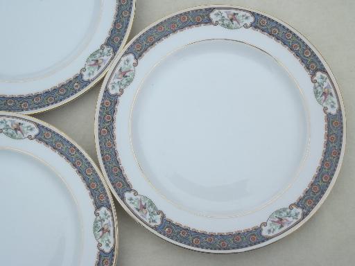 photo of vintage Czech china plates w/ hand-painted pheasants border, M Z Altrohlau #3