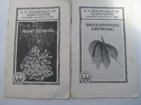 photo of vintage Dept of Ag farmer's bulletins how-to booklets, growing sweet potatoes, peanuts #1