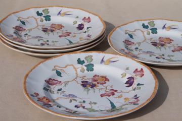 catalog photo of vintage Devon Rose Wedgwood china dinner plates, flowers w/ bird & bamboo