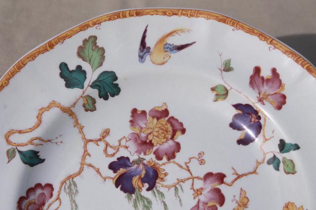 photo of vintage Devon Rose Wedgwood china salad plates, flowers w/ bird & bamboo #5