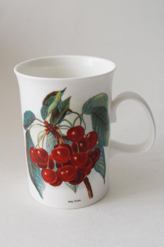 photo of vintage Dunoon bone china tea mug coffee cup Orchard Fruits cherries botanical print #1