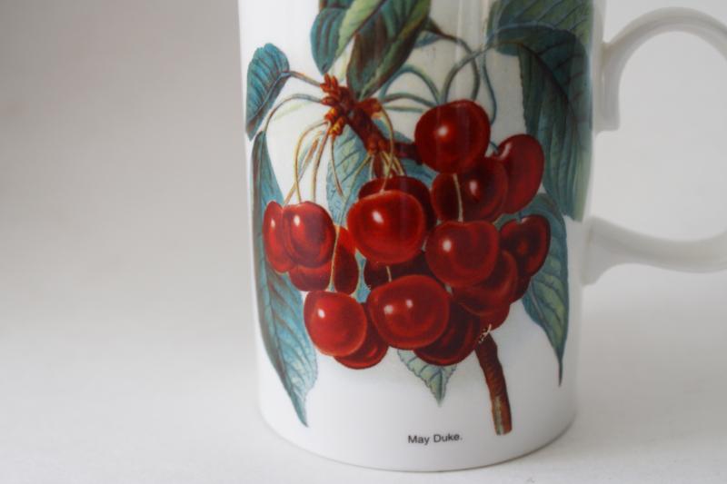 photo of vintage Dunoon bone china tea mug coffee cup Orchard Fruits cherries botanical print #2