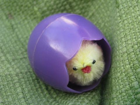 photo of vintage Easter toys / decorations, eggs w/ peek-a-boo chenille chicks #6