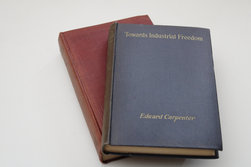 photo of vintage Edward Carpenter titles Towards Democracy, Towards Industrial Freedom blue & red covers #1