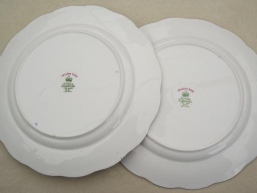 photo of vintage English bone china tea tray snack plates Royal Standard Orleans #6