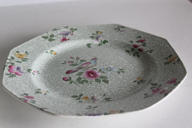 photo of vintage English chintz china plates, Winkle Whieldon Ware pheasant bird Wessex pattern #2