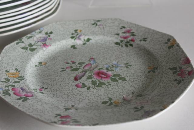 photo of vintage English chintz china plates, Winkle Whieldon Ware pheasant bird Wessex pattern #3