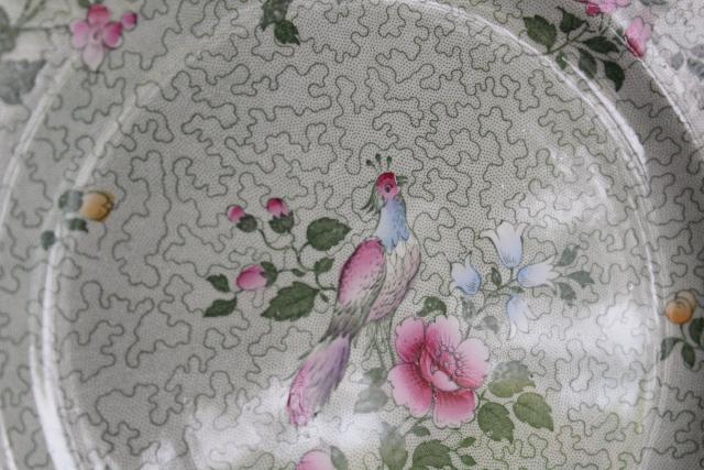 photo of vintage English chintz china plates, Winkle Whieldon Ware pheasant bird Wessex pattern #4