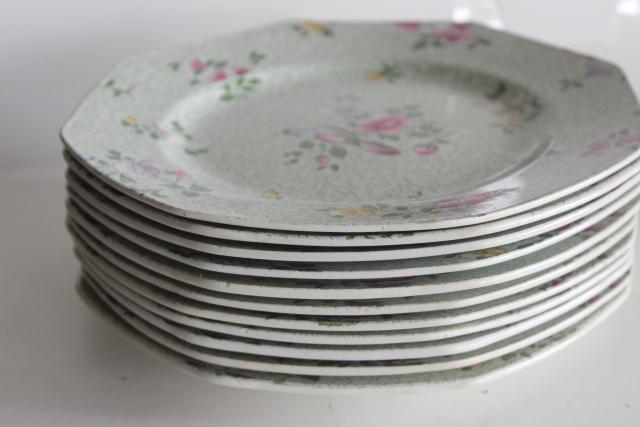 photo of vintage English chintz china plates, Winkle Whieldon Ware pheasant bird Wessex pattern #7