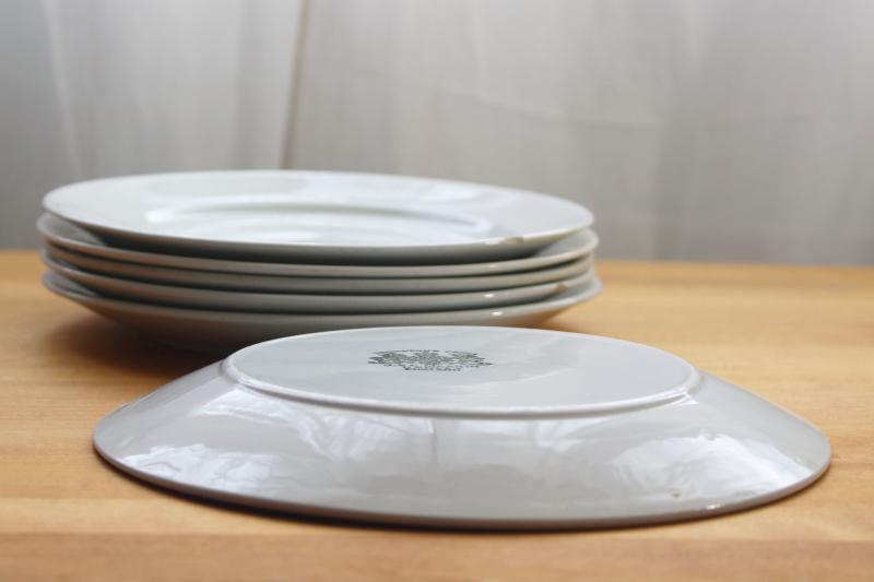 photo of vintage English ironstone dishes, plain white plates rustic farmhouse table ware #1