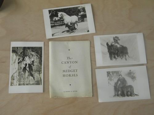 photo of vintage Ernest Ritter Grand Canyon midget horses photo postcards/booklet #1