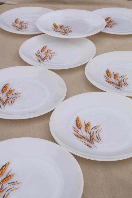 photo of vintage Fire King golden wheat milk glass dinner plates, set of 8 #1