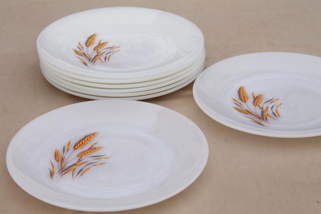 photo of vintage Fire King golden wheat milk glass dinner plates, set of 8 #3