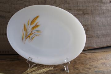 catalog photo of vintage Fire King milk glass platter w/ golden harvest wheat pattern