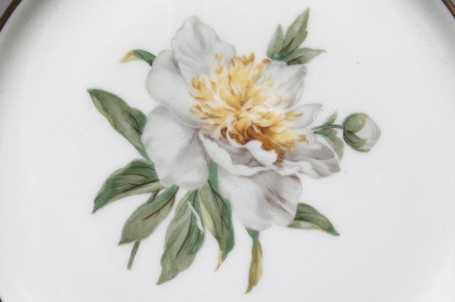 photo of vintage Golden Peony Princess china plates, dessert or bread & butter plate set #4