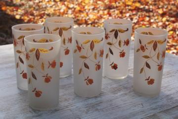 catalog photo of vintage Hall Autumn Leaf pattern tumblers 12 oz Libbey glass drinking glasses 