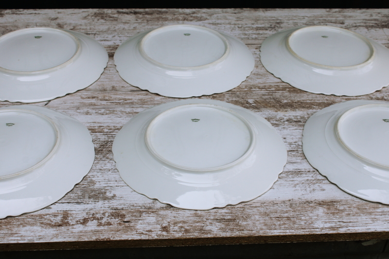 photo of vintage Haviland Limoges porcelain dinner plates, pure white china Ranson pattern scalloped edge  #7