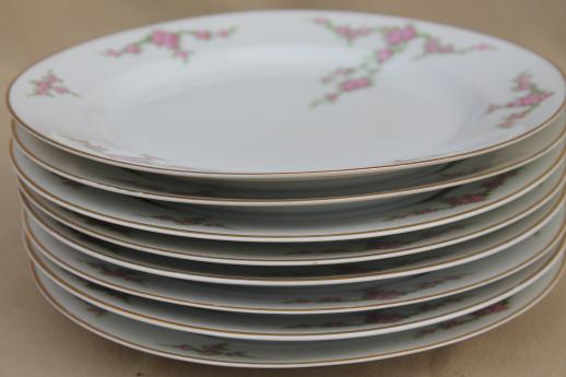 photo of vintage Heinrich Bavaria H & C Rosalinda pink roses china luncheon plates set of 8 #7