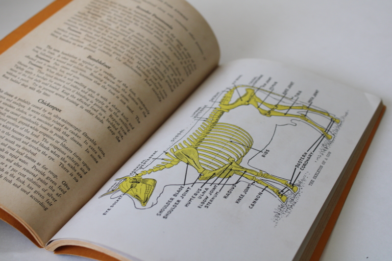 photo of vintage Hoard's Dairyman book, How to Treat Common Ailments of Farm Animals, farmer's guide  #3
