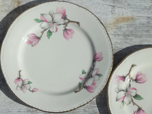 photo of vintage Homer Laughlin china plates, pink magnolia branch floral pattern #5