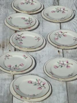 catalog photo of vintage Homer Laughlin china plates, pink magnolia branch floral pattern