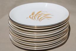 catalog photo of vintage Homer Laughlin golden wheat china, gold wheat sheaf dinner plates Thanksgiving set for 12