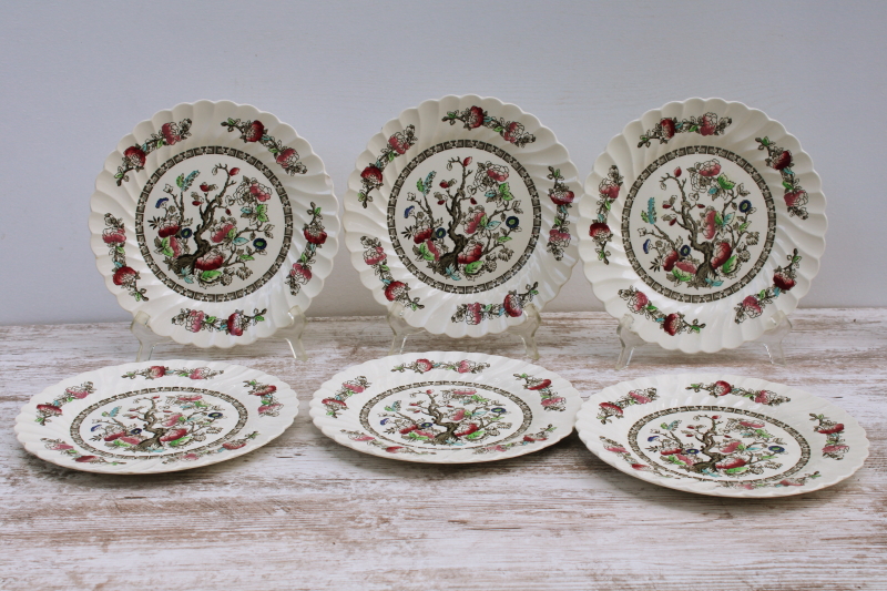 photo of vintage Indian Tree Myott Staffordshire china dinner plates set of six, India tree of life pattern  #1