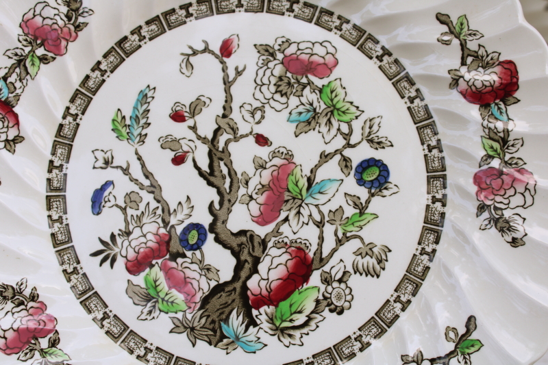 photo of vintage Indian Tree Myott Staffordshire china dinner plates set of six, India tree of life pattern  #2
