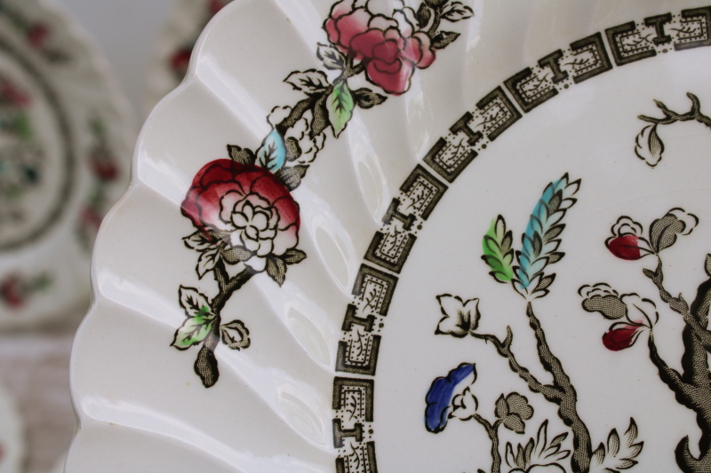 photo of vintage Indian Tree Myott Staffordshire china dinner plates set of six, India tree of life pattern  #3