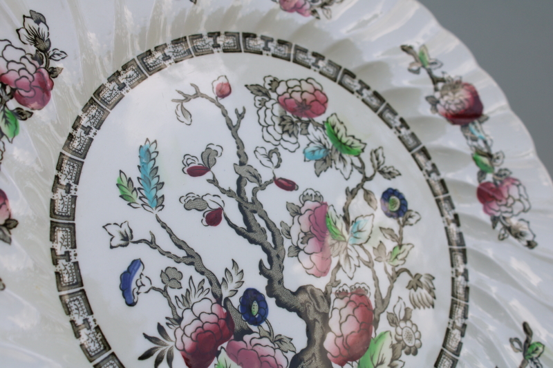 photo of vintage Indian Tree Myott Staffordshire china dinner plates set of six, India tree of life pattern  #6