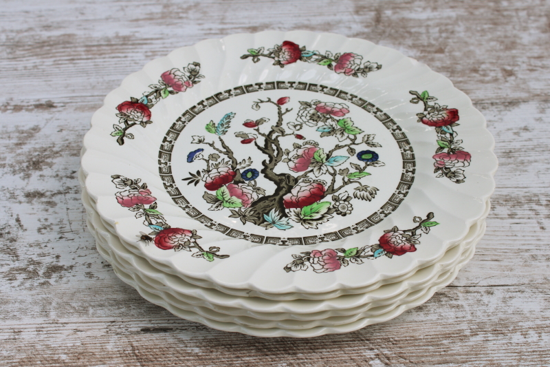 photo of vintage Indian Tree Myott Staffordshire china dinner plates set of six, India tree of life pattern  #8