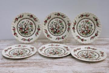 catalog photo of vintage Indian Tree Myott Staffordshire china dinner plates set of six, India tree of life pattern 