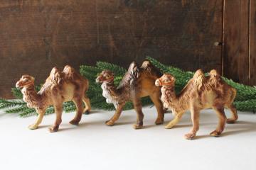 catalog photo of vintage Italy Christmas nativity scene animals, three large camels creche figures 