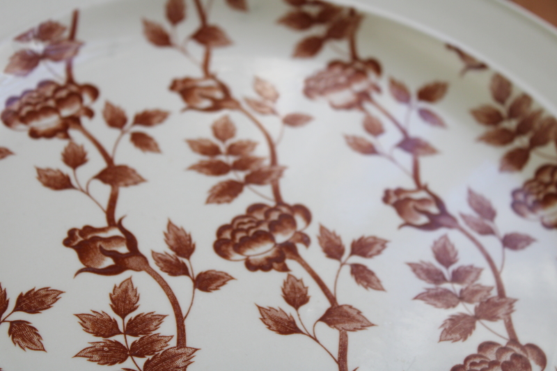 photo of vintage J&G Meakin Climbing Gardens roses floral dinner plates, rust brown transferware on cream #4