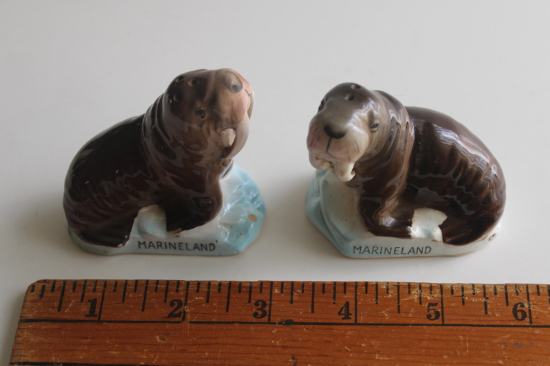 photo of vintage Japan salt and pepper shakers mini walrus figurines souvenir Marineland  #1