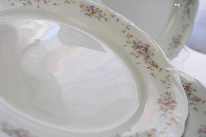 photo of vintage Johann Haviland Bavaria china, Floral Splendor pattern set of 8 dinner plates #2