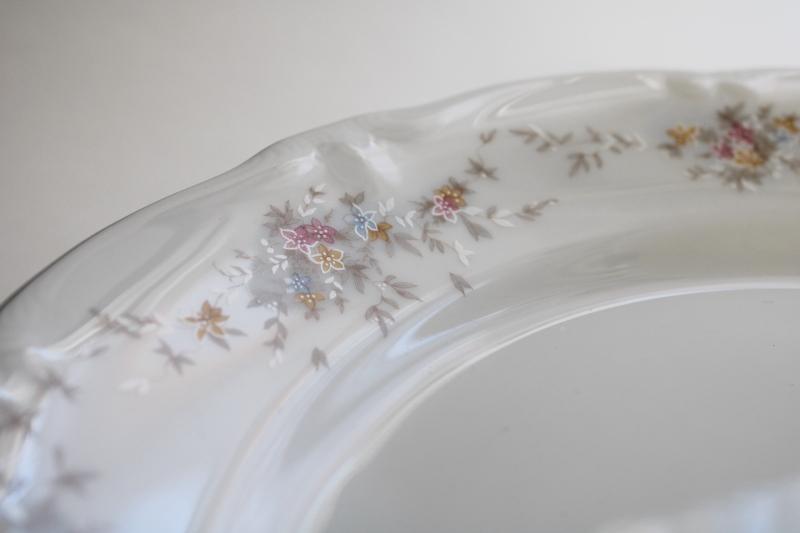 photo of vintage Johann Haviland Bavaria china, Floral Splendor pattern set of 8 dinner plates #5