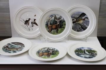 catalog photo of vintage LL Bean Delano Studios wildlife print dinner plates, game birds, fish, deer 