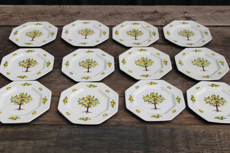 photo of vintage Lemon Tree pattern Johnson Bros ironstone china bread & butter plates set of 12  #1