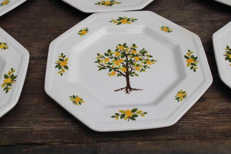 photo of vintage Lemon Tree pattern Johnson Bros ironstone china bread & butter plates set of 12 #2