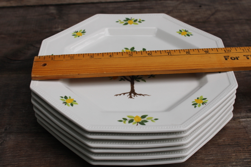 photo of vintage Lemon Tree pattern Johnson Bros ironstone china dinner plates set of 6  #2