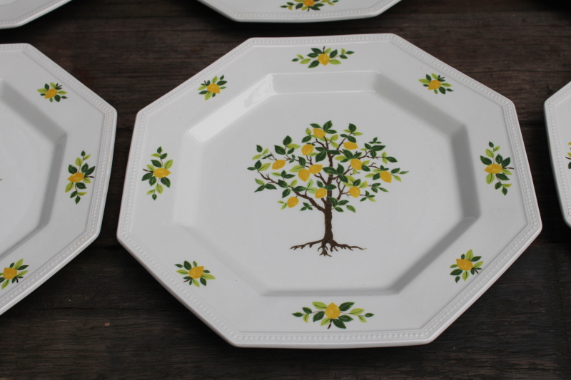 photo of vintage Lemon Tree pattern Johnson Bros ironstone china dinner plates set of 6  #3