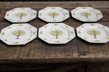 catalog photo of vintage Lemon Tree pattern Johnson Bros ironstone china dinner plates set of 6 