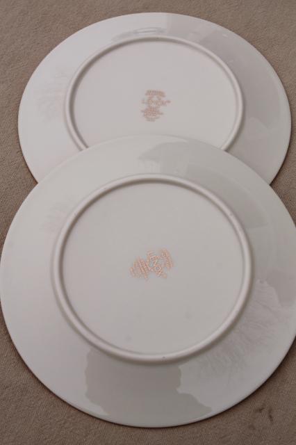 photo of vintage Lenox Eternal gold band ivory china bread & butter plates, mint condition #6