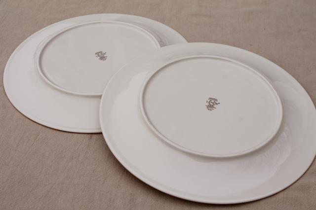 photo of vintage Lenox Eternal gold band ivory china dinner plates, mint condition #6