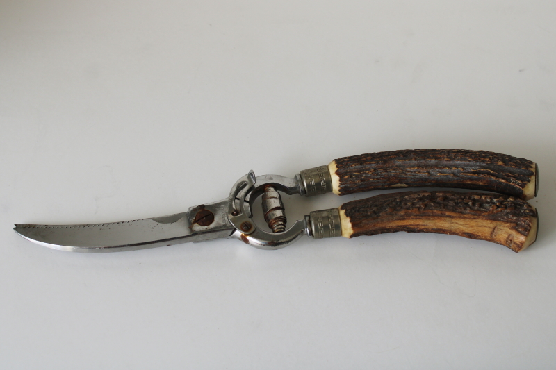 photo of vintage Lifetime Cutlery poultry shears, kitchen shears w/ antler handles  #1