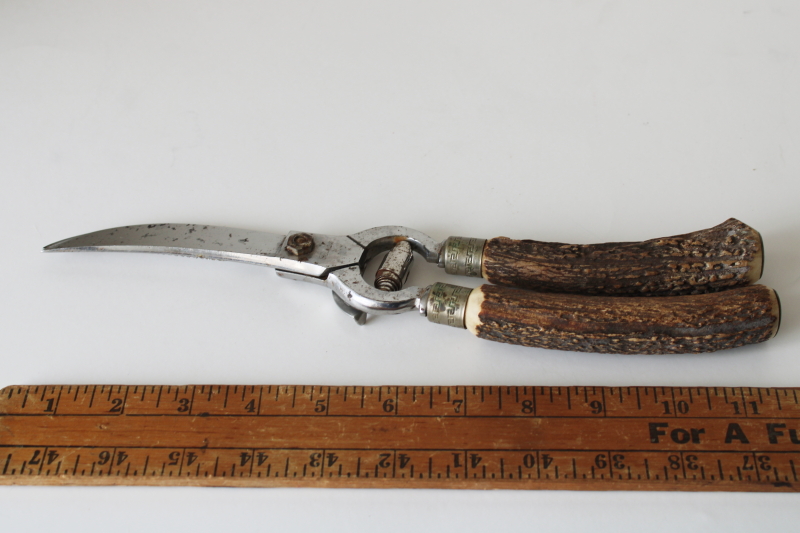 photo of vintage Lifetime Cutlery poultry shears, kitchen shears w/ antler handles  #2