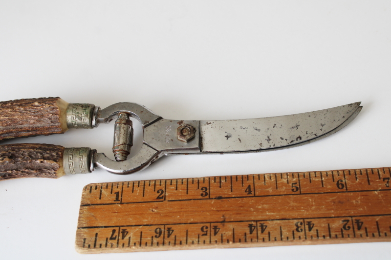 photo of vintage Lifetime Cutlery poultry shears, kitchen shears w/ antler handles  #3