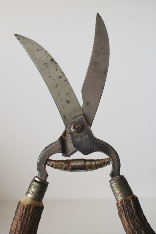 photo of vintage Lifetime Cutlery poultry shears, kitchen shears w/ antler handles  #7