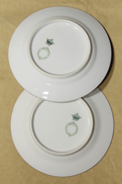 photo of vintage Limoges B & Co french porcelain china dessert plates, hand painted floral w/ gold #8